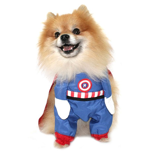 Fantasia para Cachorro Super Herói - Mascote Moda Pet