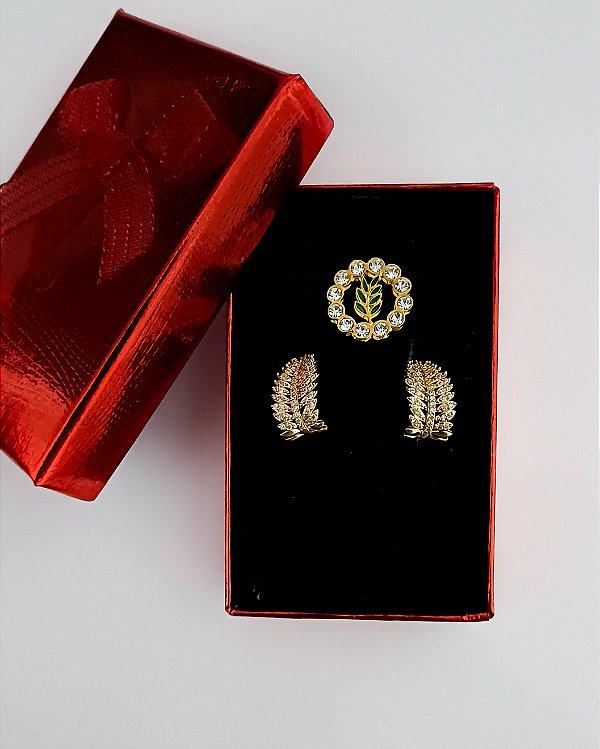 Conjunto Brincos e Pin Broche Folha de Acácia-Dourado