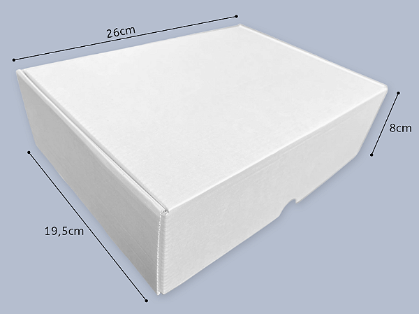 Caixa de Papelão Branco - 26x19,5x8