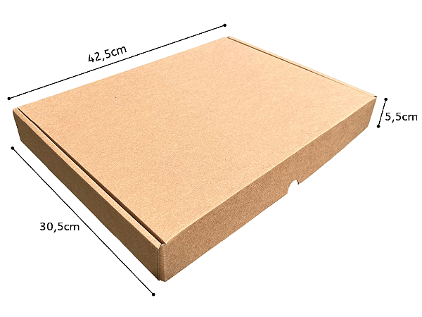Caixa de Papelão - Tamanho A3 - 42,5x30,5x5,5
