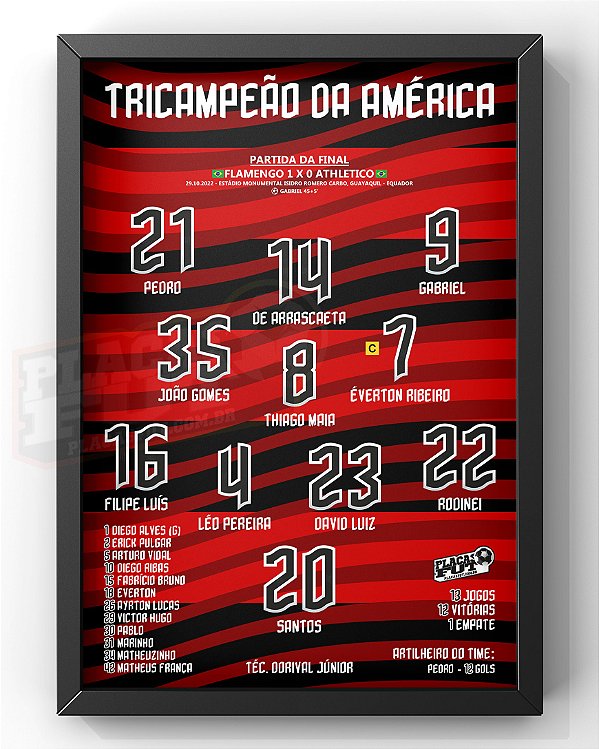 Quadro Escalação Final Campeão Da América 2022