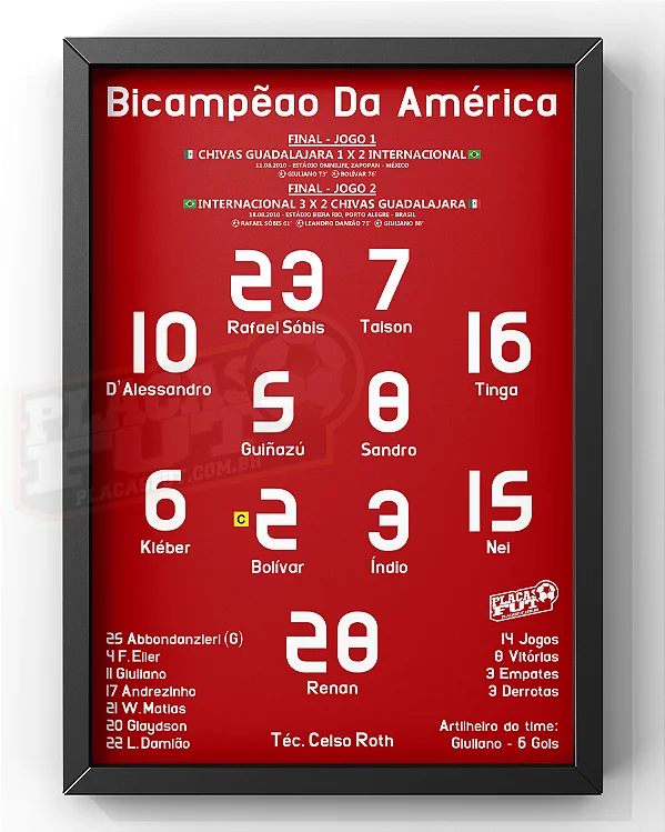 Quadro Escalação Final Campeão da América 2010