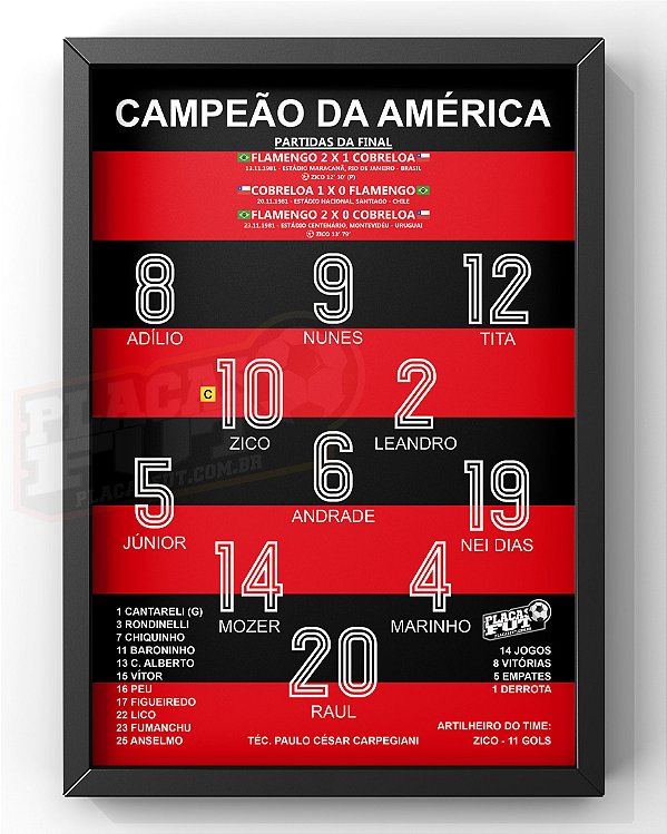 Quadro Escalação Final Campeão da América 1981