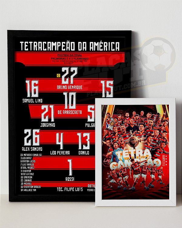 Kit Quadros Tetra da América 2025