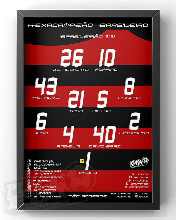 Quadro Escalação Final Campeão Brasileirão 2009