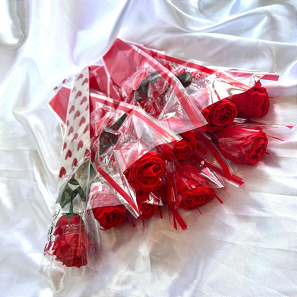 Rosa Erótica Calcinha Mini Caleçon rendada vermelha