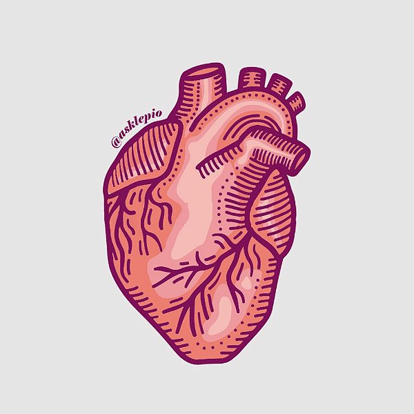 Sticker Coração Anatômico
