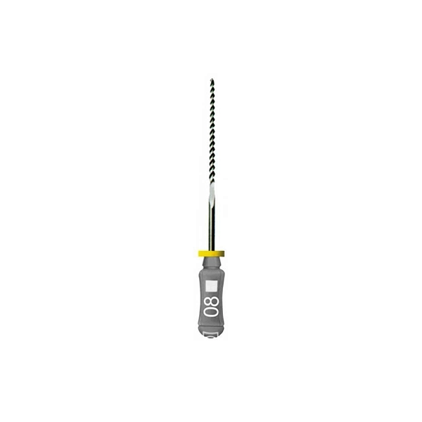 Lima Manual K 21mm  N°8 com 1 Unidade - DENTSPLY MAILLEFER