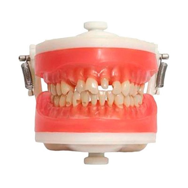 Manequim Top Materiais Dentários PD101 - PRONEW
