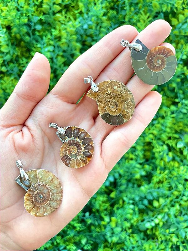 Pingente de Amonite - Mudança Energética e Harmonia Entre Casais e Família