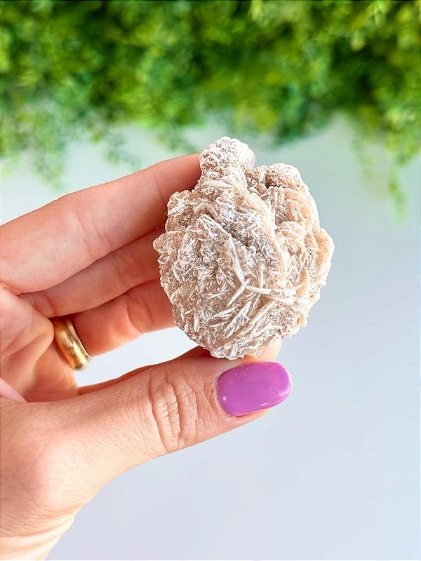 Rosa do Deserto G - Organiza Ideias, Dissolve o Estresse, Entender a Intuição, Concentração e Decisões Seguras