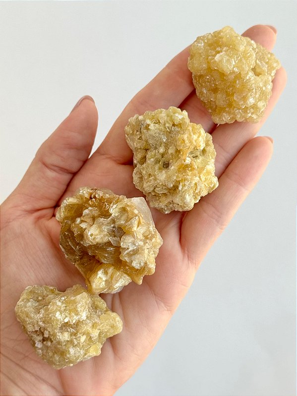 Mica Dourada - Situações Difíceis, Convivência e Transformações Positivas