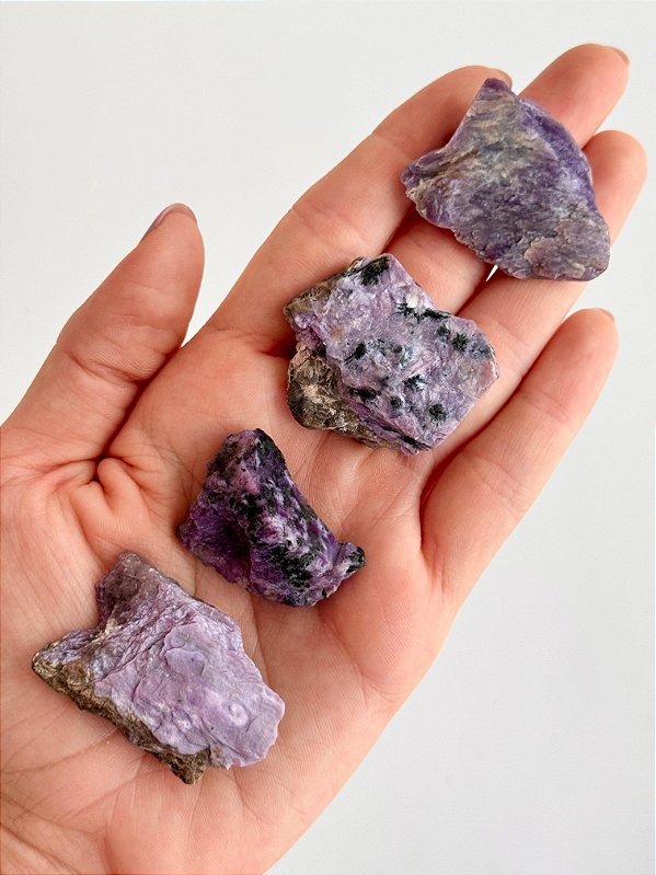 Charoita Bruta Mini - Médiuns, Curandeiros e Trabalhadores da Luz