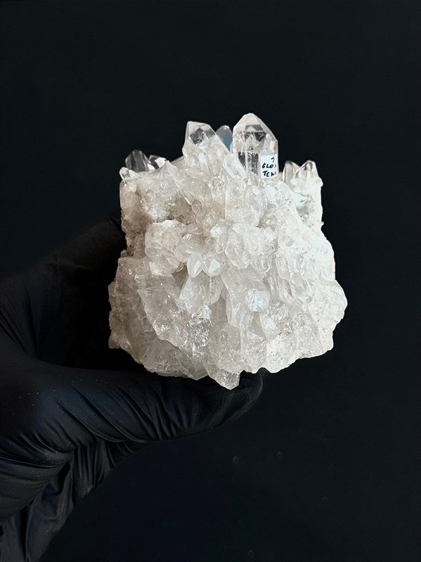 Drusa de Cristal com Mestrias - RARO - Peça Única DRMESTRIA64