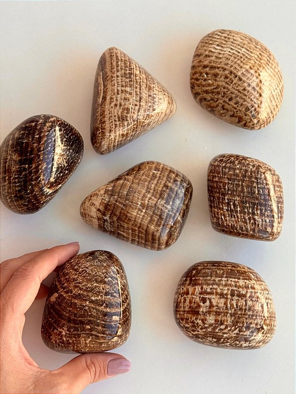 Aragonita Rajada G - Estabilidade Emocional; Rotina; Foco no Propósito; Acoramento