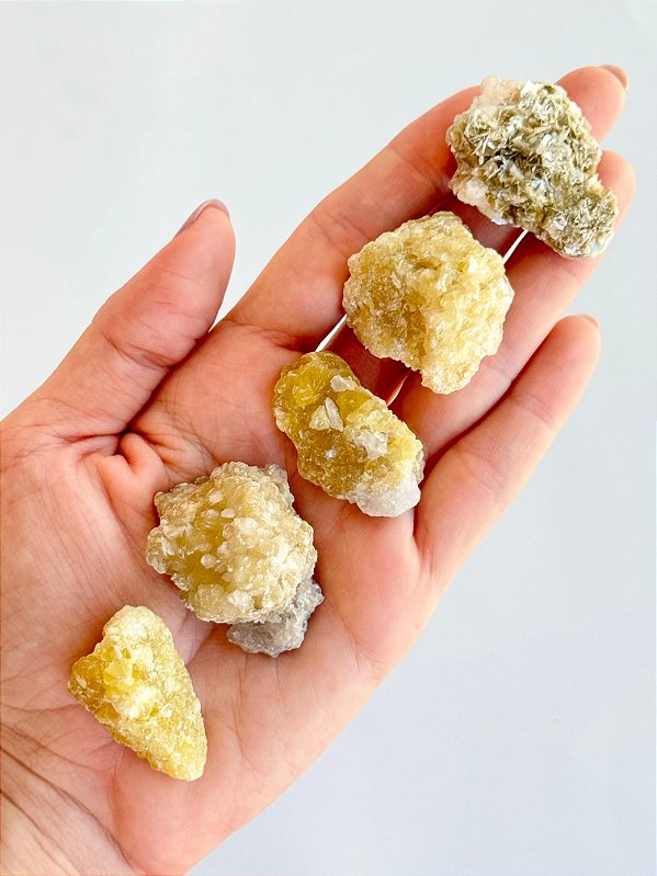 Mica Dourada Mini - Situações Difíceis, Convivência e Transformações Positivas