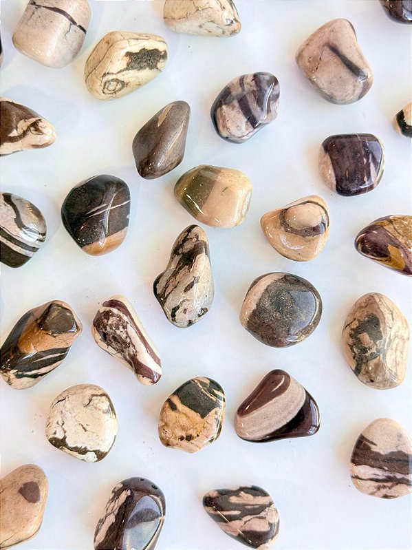 Jaspe Zebra Marrom - Disciplina, Constância, Aterramento, Força