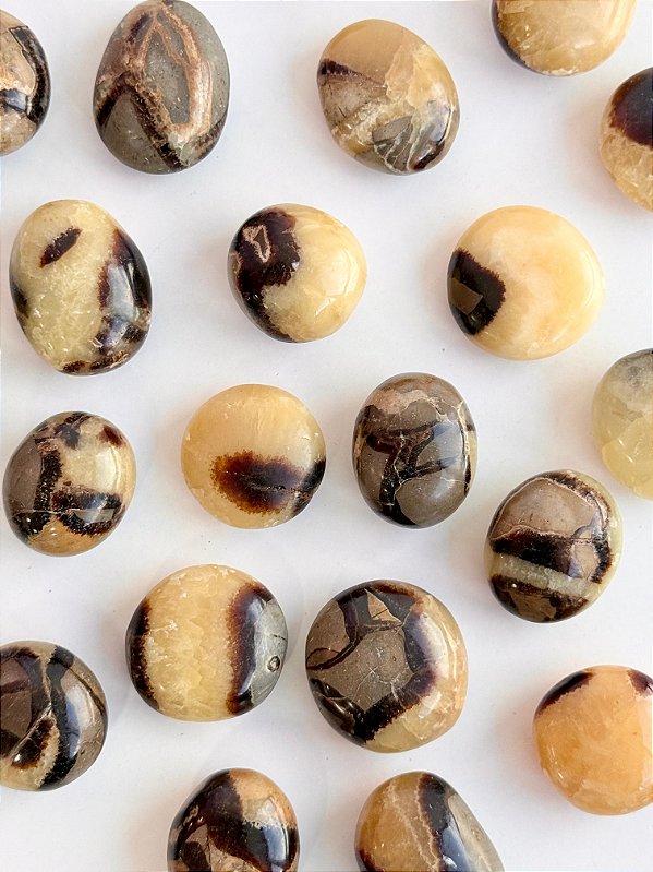 Septariana - Ovo de Dragão - Segurança, Poder Pessoal, Novos Padrões e Mudanças