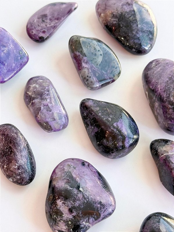 Charoita Rolada - Médiuns, Curandeiros e Trabalhadores da Luz