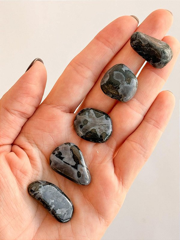 Gabro Indigo - Luz e Sombra; Autossabotagem; Mediunidade