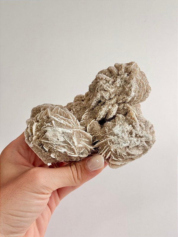 Rosa do Deserto BRD38 - Organiza Ideias, Dissolve Estresse, Entender Intuição, Concentração - Base Serrada