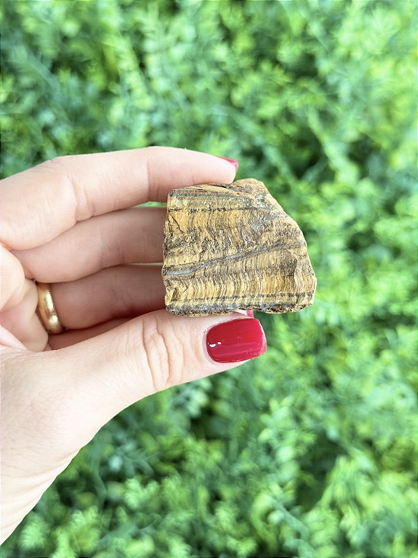 Olho De Tigre Bruto - Contra Inveja e Olhado; Autoconfiança; Coragem e Determinação