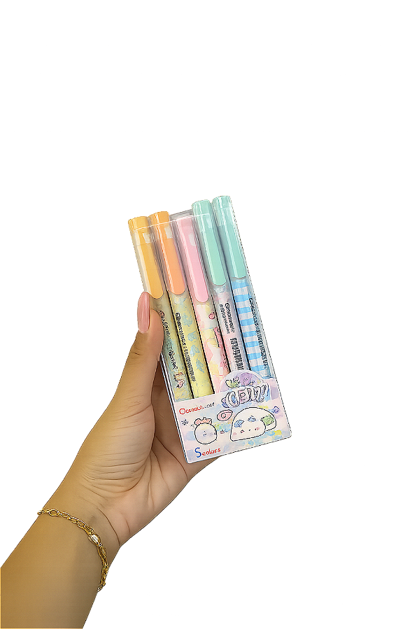 Kit Marca Texto Colorido para Estudos