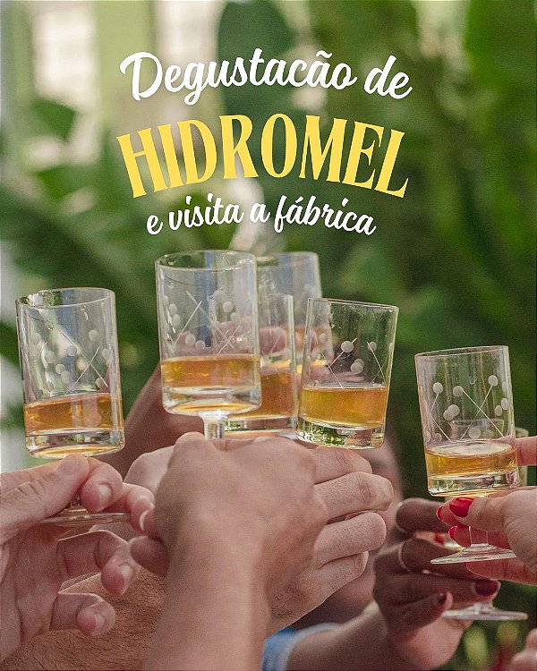 Experiência: Visita à Fábrica e Degustação de Hidromel