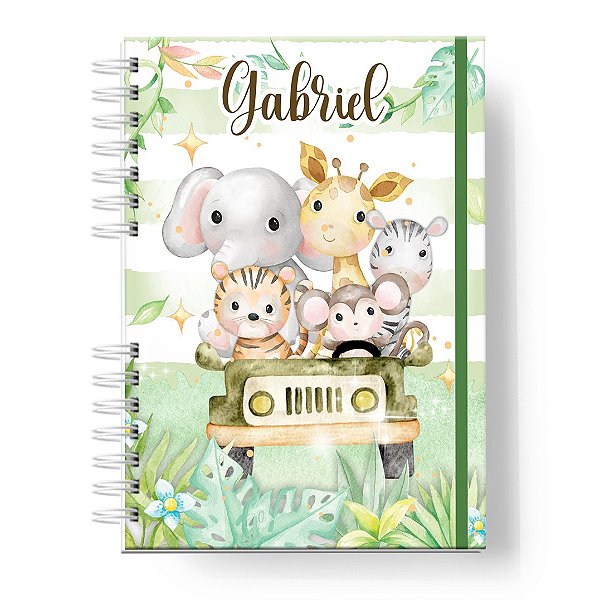 Caderneta de Vacinas: Menino