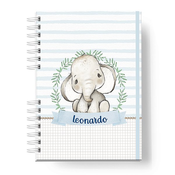 Caderneta de Vacinas: Menino