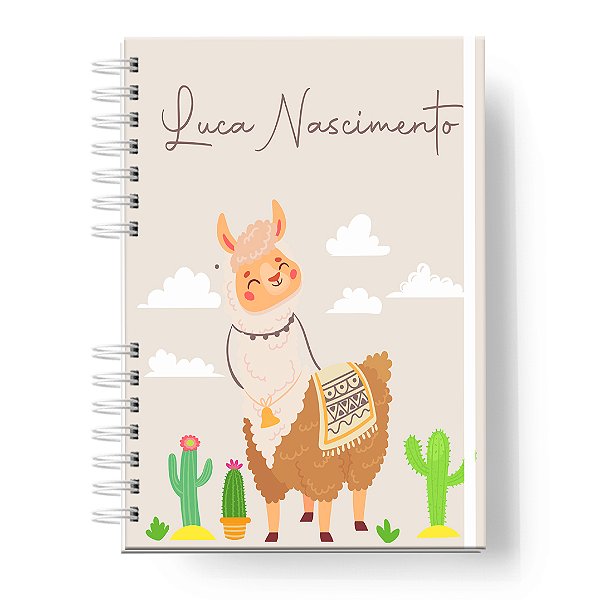 Caderneta de Vacinas: Menino Lhama