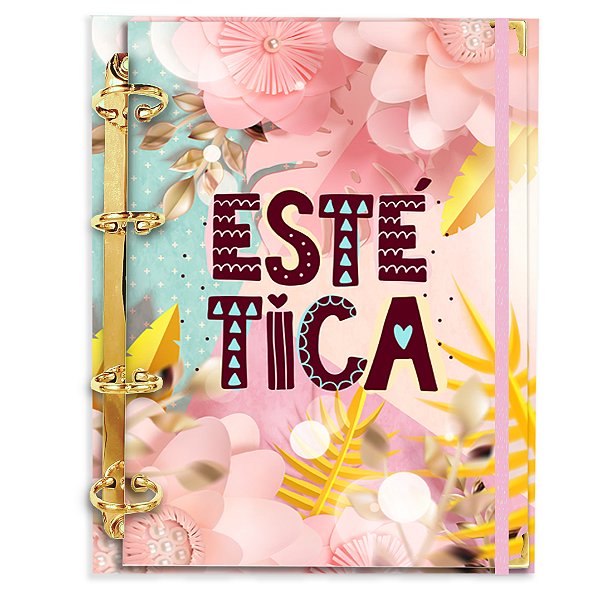 Fichário com 180 folhas: Estética