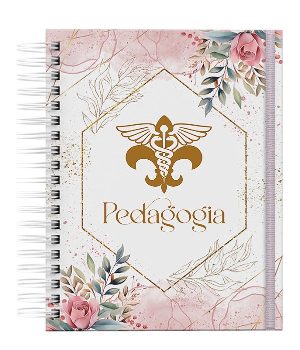 Agenda: Professor (PF06)