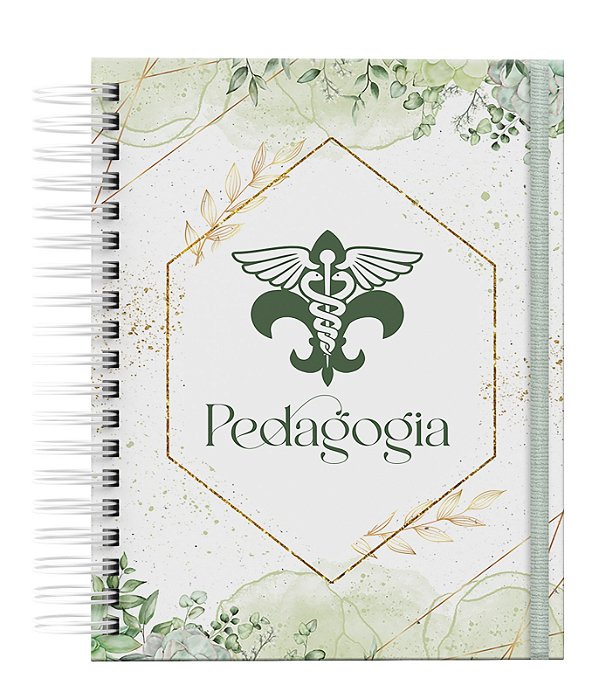 Agenda: Professor (PF07)