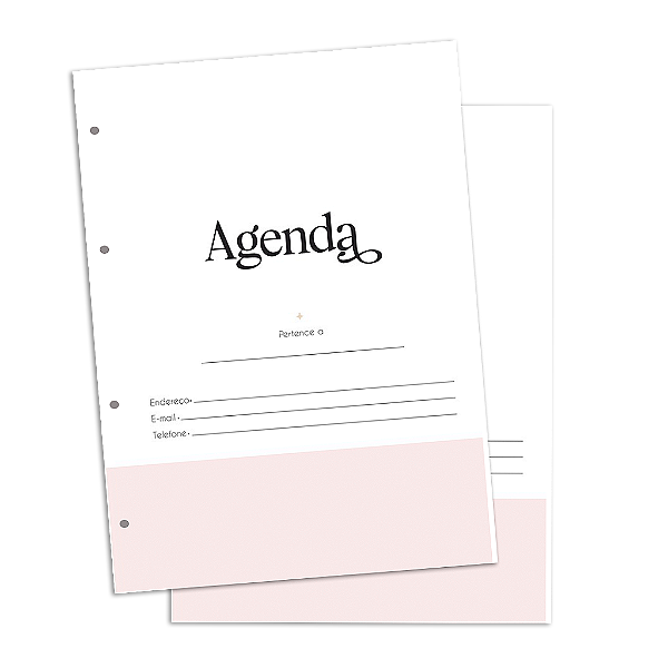 Refil Agenda fichário 2026 ( Leia a Descrição)