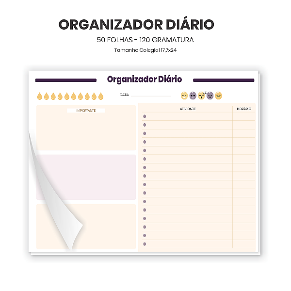Organizador Diário
