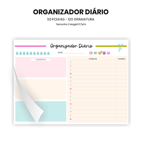 Organizador Diário