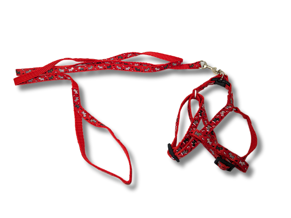 Coleira Peitoral + Guia Raças P