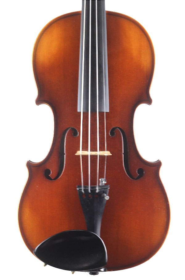 Violino Hofner 2001