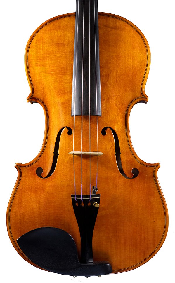 Viola Paulo Tavares (2016)