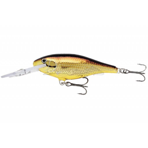 Isca Artificial Rapala Shad Rap Deep Runner SR-7 - Golden Alburnus