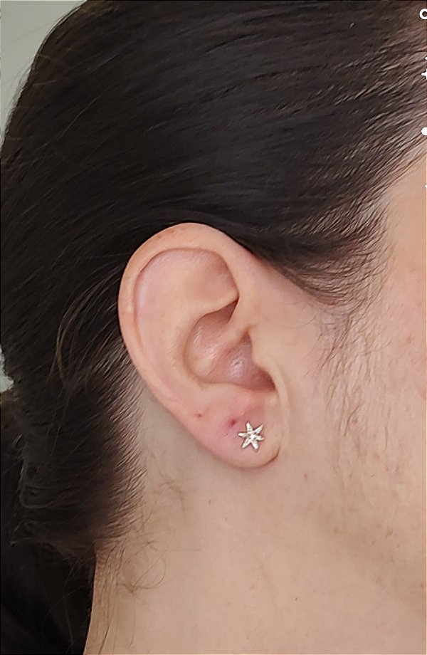 BRINCO FLOR ZIRCÔNIA PRATA 925