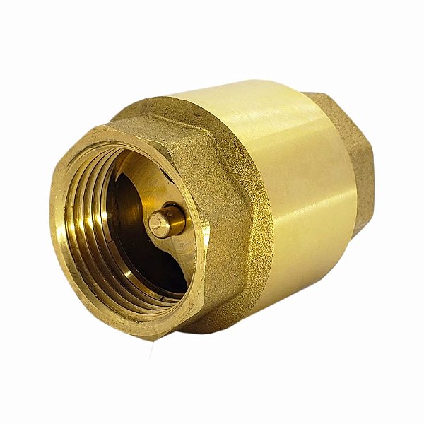 Valvula Retenção Universal Vertical 1"x1" Polegada FxF BSP Druck