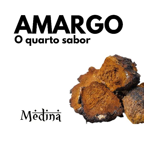 Extrato Chaga - Inonotus obliquus 30 cápsulas 25mg