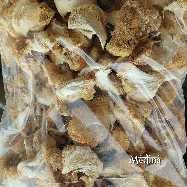 Hericium erinaceus (Juba de Leão) 100g