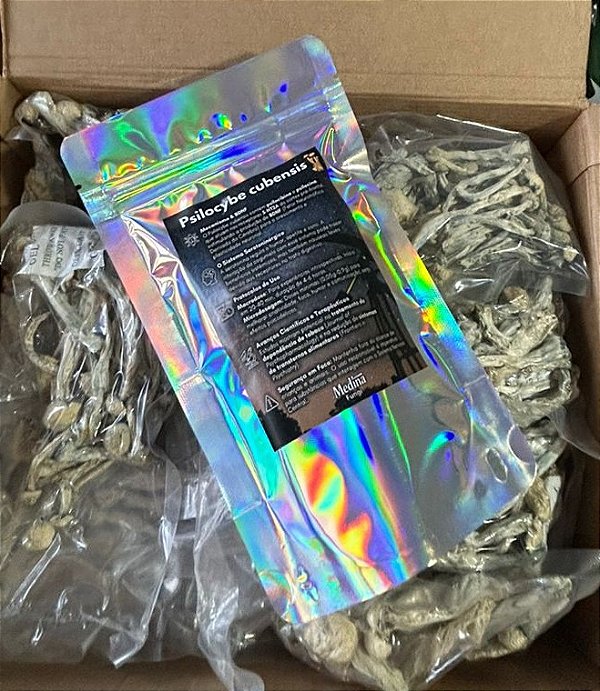 Psilocybe 10g