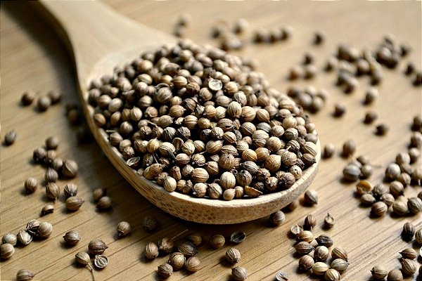 EXTRATO CONCENTRADO DE COENTRO(60ml)