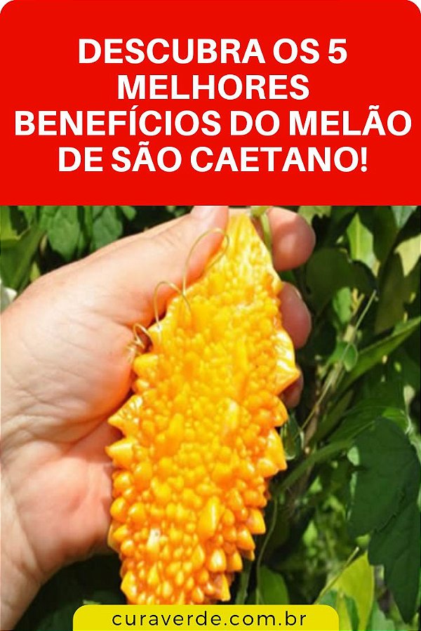 Extrato De Ervas De Melão De São Caetano. 60ml - Vida em Folha