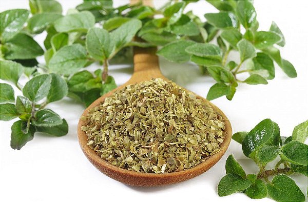 EXTRATO DE OREGANO
