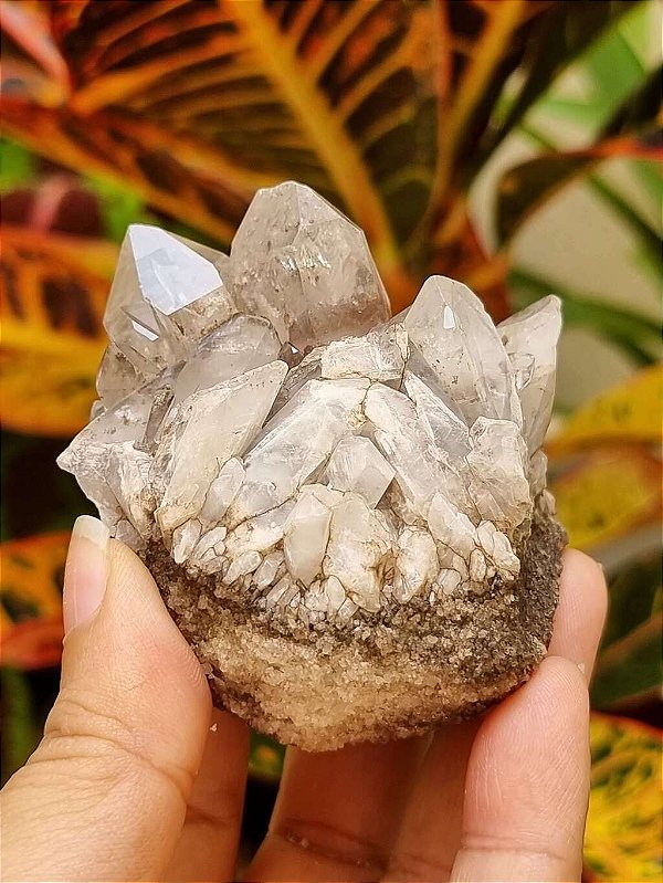 Drusa de Quartzo com Lítio - Cod. PCO 4